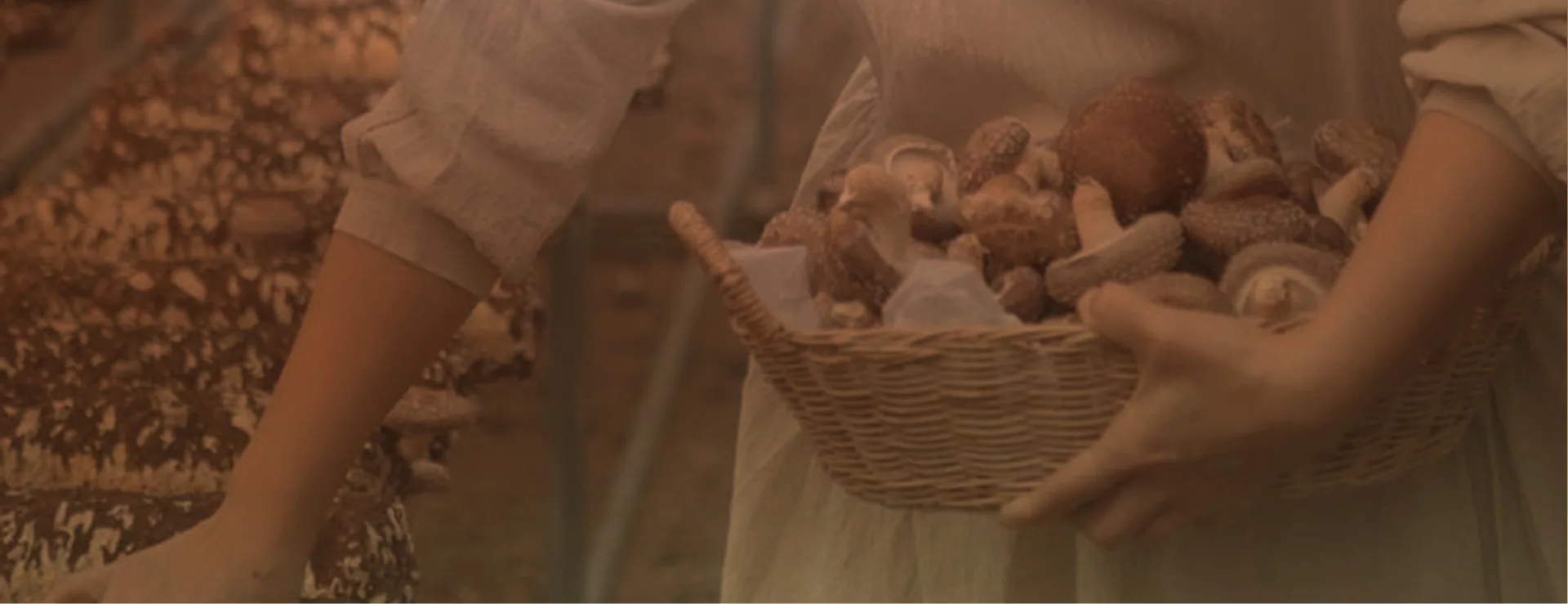KIRINE's natural ingredients and family farm